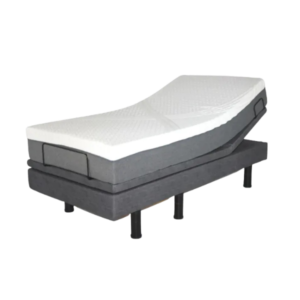 Golden Passport Hi-Low Adjustable Bed