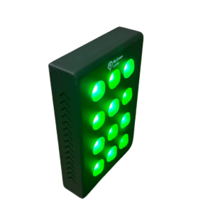 MyGreen Lamp